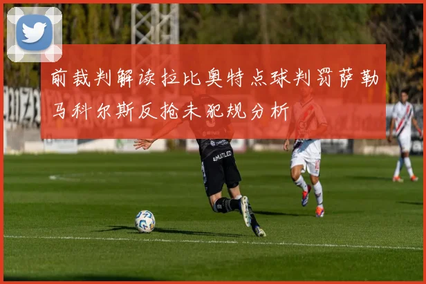 前裁判解读拉比奥特点球判罚萨勒马科尔斯反抢未犯规分析
